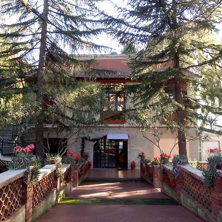 Villa Morgante B&B Pedara Esterno foto