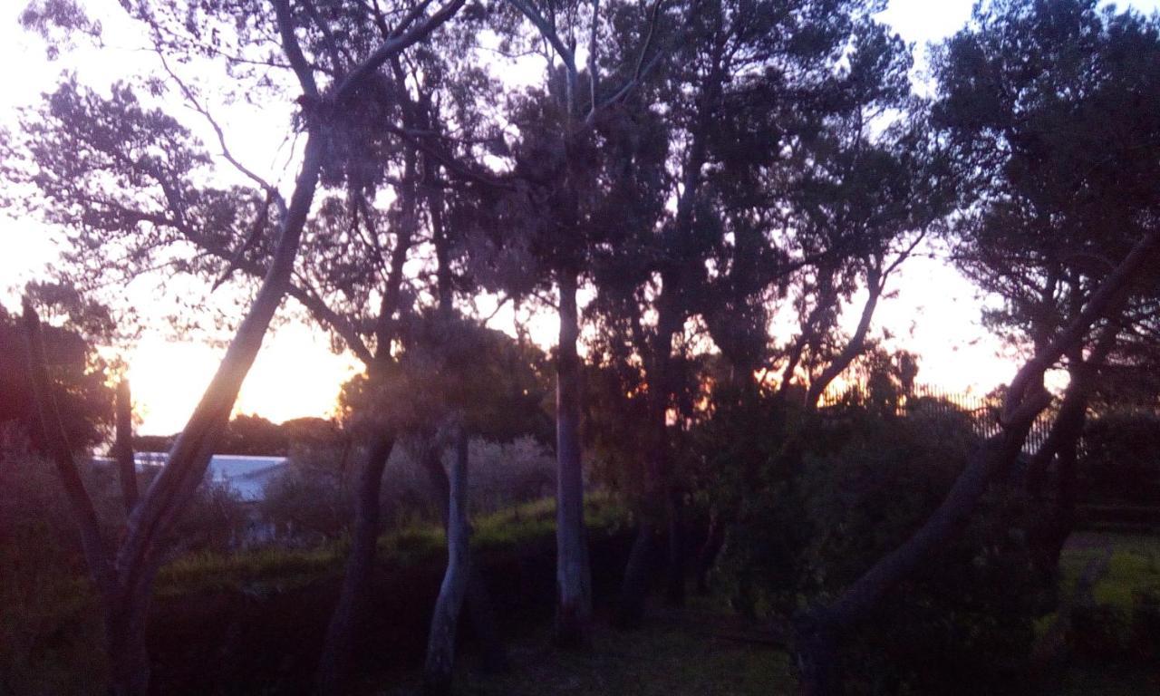 Villa Morgante B&B Pedara Esterno foto