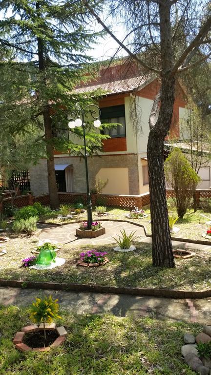 Villa Morgante B&B Pedara Esterno foto