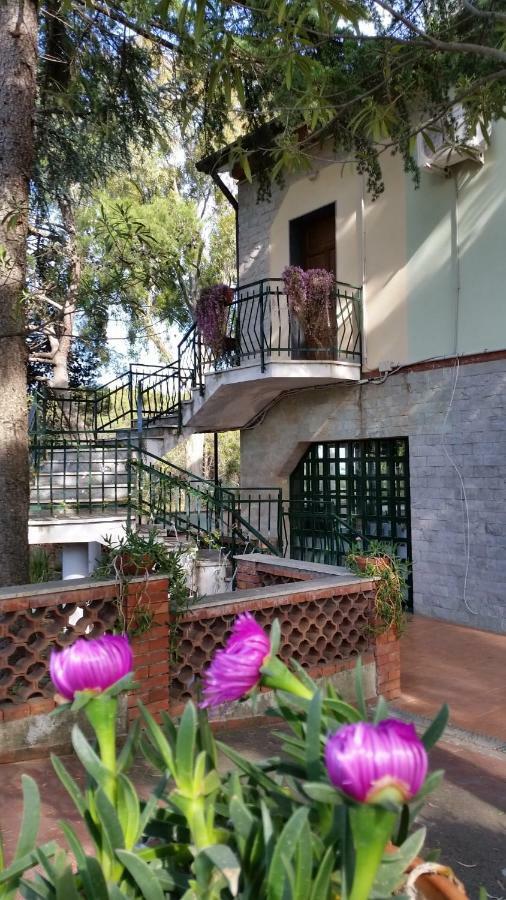 Villa Morgante B&B Pedara Esterno foto