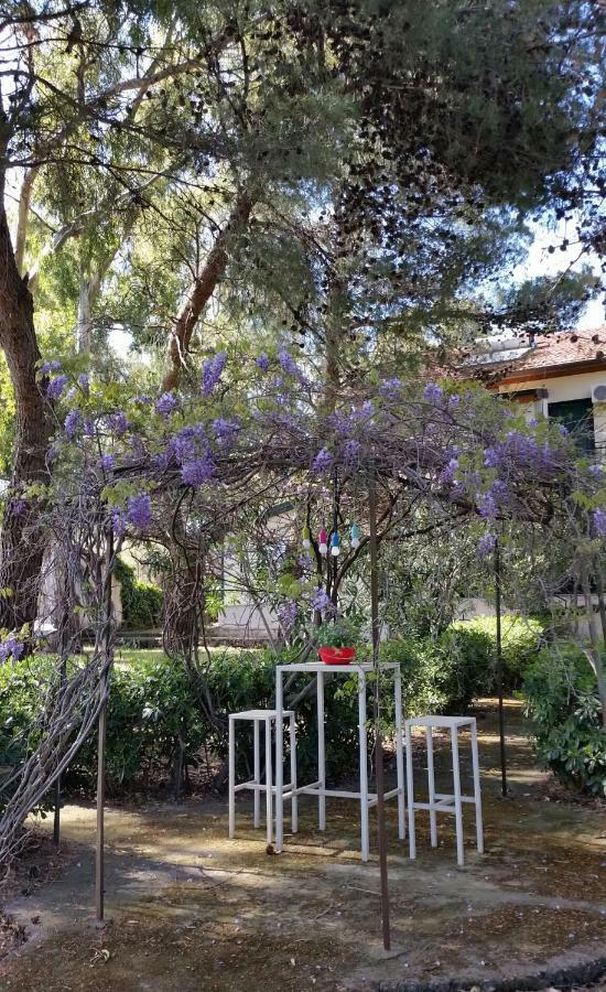 Villa Morgante B&B Pedara Esterno foto
